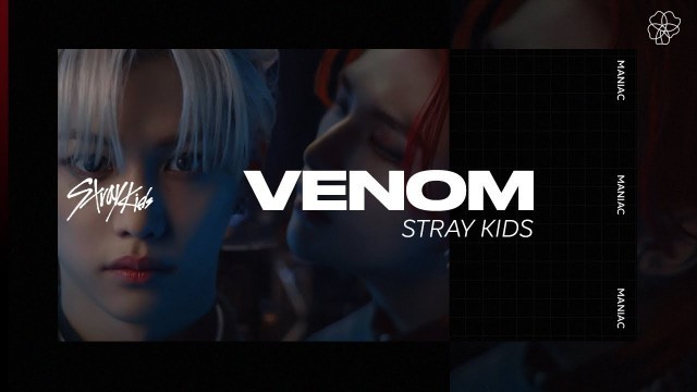 'Stray Kids (거미줄) \'VENOM\' Easy Lyrics + Sub Español'