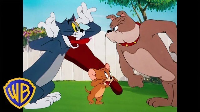 'Tom & Jerry | Best Buddies 