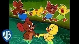 'Tom & Jerry | Best of Jerry and Little Quacker | Classic Cartoon Compilation | WB Kids'
