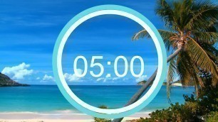 '5 MINUTE TIMER SUMMER Themed/ Beach and TROPICAl!'