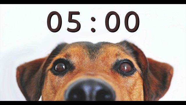 '5 Minute Timer for School and Homework - Dog Bark Alarm Sound'