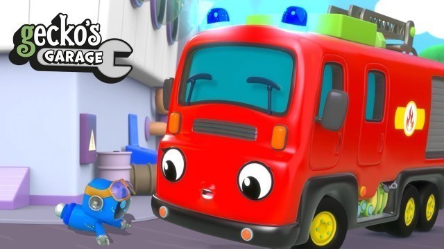 'Help Fiona Fire Truck!｜Gecko\'s Garage｜Funny Cartoon For Kids｜Learning Videos For Toddlers'