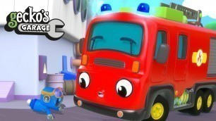 'Help Fiona Fire Truck!｜Gecko\'s Garage｜Funny Cartoon For Kids｜Learning Videos For Toddlers'