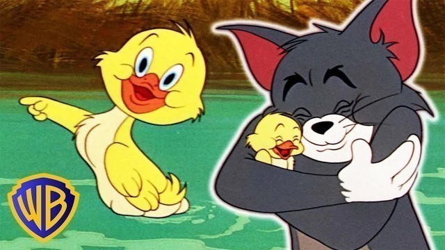 'Tom & Jerry | Best of Little Quacker | Classic Cartoon Compilation | WB Kids'