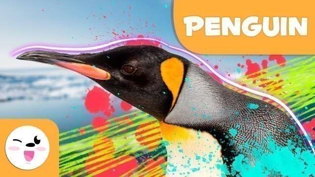 'PENGUIN 