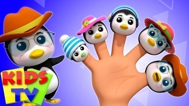 'Penguin Finger Family | Cartoon Videos And Songs | Kindergarten Nursery Rhymes by Kids Tv'