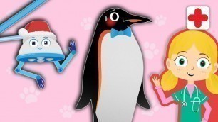 'Chilly The Penguin Visits Dr Poppy\'s Pet Rescue | Christmas Animals For Toddlers'