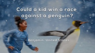 'Could a kid win a race against a penguin?'