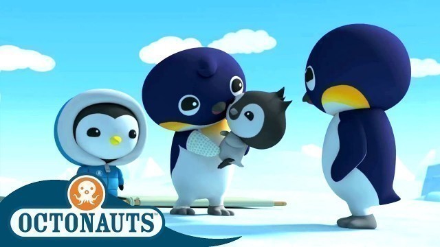 'Octonauts - The Emperor Penguins | Cartoons for Kids | Underwater Sea Education'