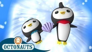 'Octonauts - The Great Penguin Race | Cartoons for Kids | Underwater Sea Education'