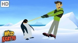 'Wild Kratts ❄️ Snowy Species part 1 