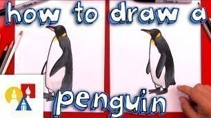 'How To Draw A Realistic Emperor Penguin'