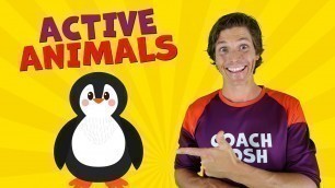 'Move like a Penguin | Coach Josh Active Animals for Toddlers & Preschoolers'