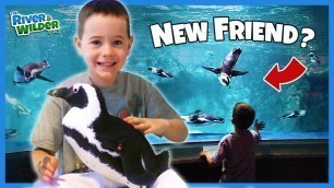 'PENGUIN CUDDLES!? A boy\'s dream comes true'