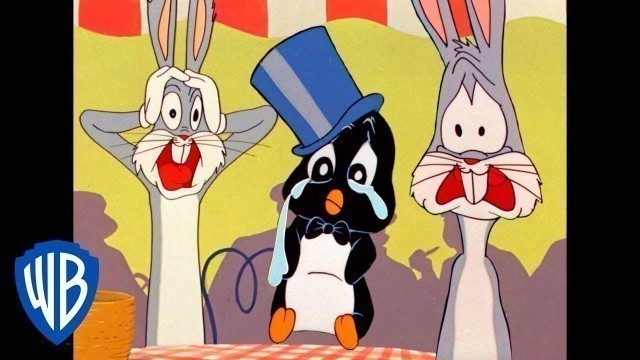 'Looney Tunes | The Journey to Get Penguin Home | Classic Cartoon | WB Kids'