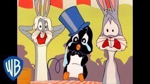 'Looney Tunes | The Journey to Get Penguin Home | Classic Cartoon | WB Kids'