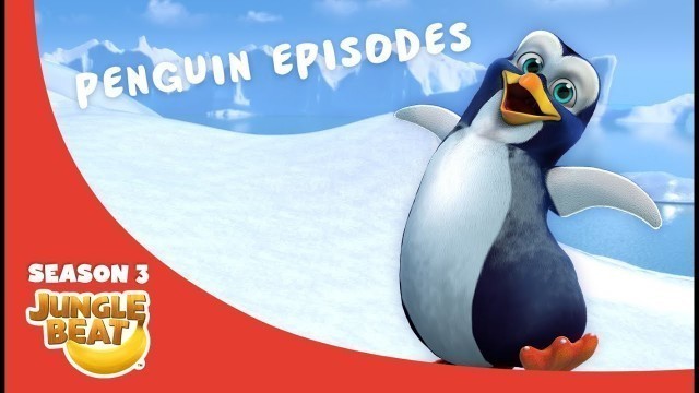 'Playful Penguin  – JB S3 Animal Compilation #8'