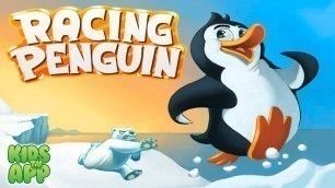 'Racing Penguin (Top Free Games) - Best App For Kids'