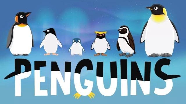 'Penguins for Kids: Interesting Facts - Different Types of Penguins for Children'