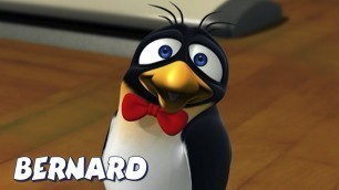 'Bowling Penguin AND MORE | Cartoons for Children | Full Episodes | Bernard Bear'