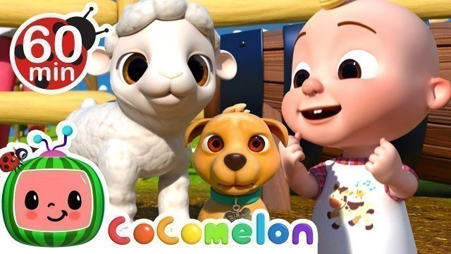 'Old MacDonald with Cute Baby Animals | CoComelon Nursery Rhymes | Moonbug Kids After School'