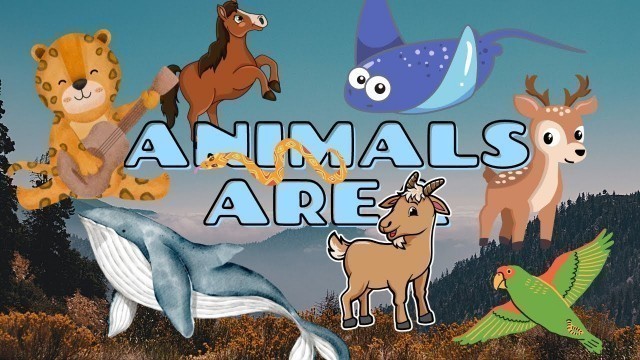 'Wild life, Funny Animal Videos For Kids in English: Leopard, Swan, Penguin, Koala, Cow, Pigeon. #fyp'