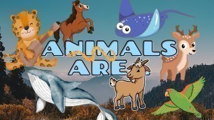 'Wild life, Funny Animal Videos For Kids in English: Leopard, Swan, Penguin, Koala, Cow, Pigeon. #fyp'