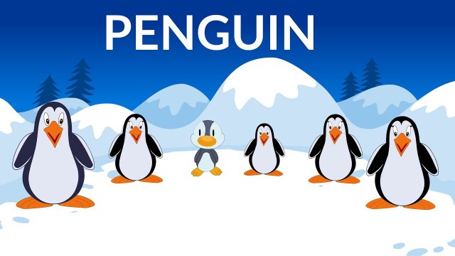 'Learn about Penguins  | Penguin Information | Video for Kids'