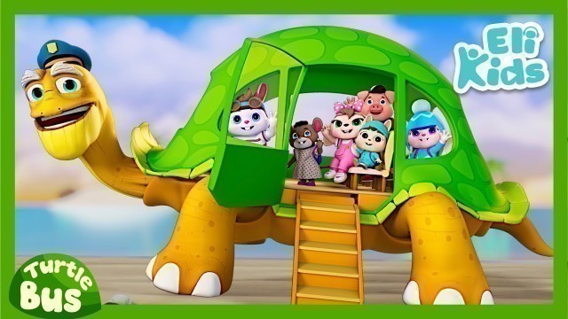 'Turtle Bus #2 +More | Eli Kids Songs & Nursery Rhymes'