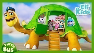 'Turtle Bus #2 +More | Eli Kids Songs & Nursery Rhymes'