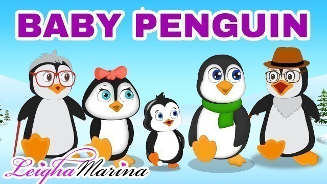 'Baby penguin song for kids | penguin family cartoon | Leigha Marina'