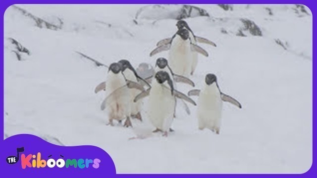 'Penguin Dance Video - The Kiboomers Preschool Songs & Nursery Rhymes'