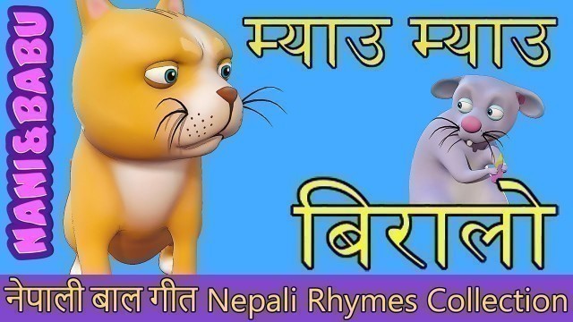 'Meow Meow Biralo - Myau Myau Biralo | Nepali Rhymes Collection | लोक प्रिय नेपाली बाल गीत'