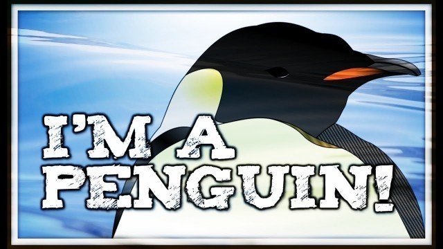 'I\'M A PENGUIN! (informational song for kids about penguins)'