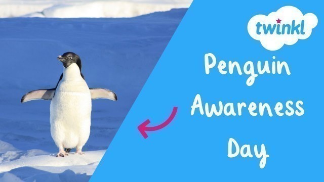 'Penguin Awareness Day for Kids! | 20 January | Twinkl USA'