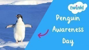 'Penguin Awareness Day for Kids! | 20 January | Twinkl USA'