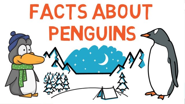 'Interesting facts about penguins for kids - information about penguins - Penguin facts for kids'