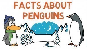 'Interesting facts about penguins for kids - information about penguins - Penguin facts for kids'