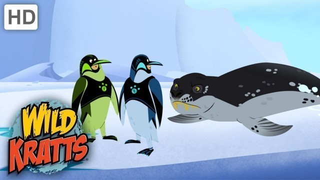 'Wild Kratts | AMAZING Penguin Power Suits| Animals'