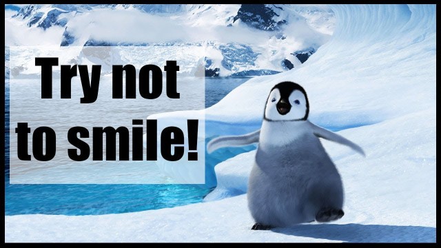 'Funny and Cute Penguin Video Compilation | Try not to smile 2018 ( Winter edition )'