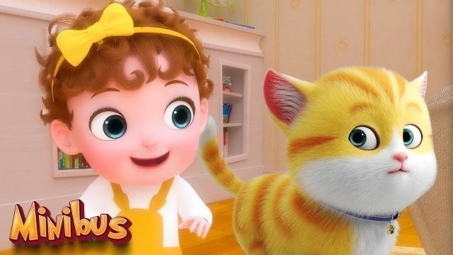 'The Baby Cat Song + more Baby Songs - Minibus Nursery Rhymes & Kids Songs'