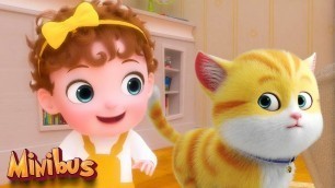 'The Baby Cat Song + more Baby Songs - Minibus Nursery Rhymes & Kids Songs'