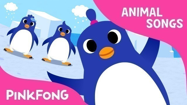 'The Penguin Dance | Animal Songs | PINKFONG Songs for Children'