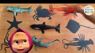 What Is This Animal? ❤️ Learn Names Sea Animals For Children ❤️ New Toy Videos For Kids ❤️