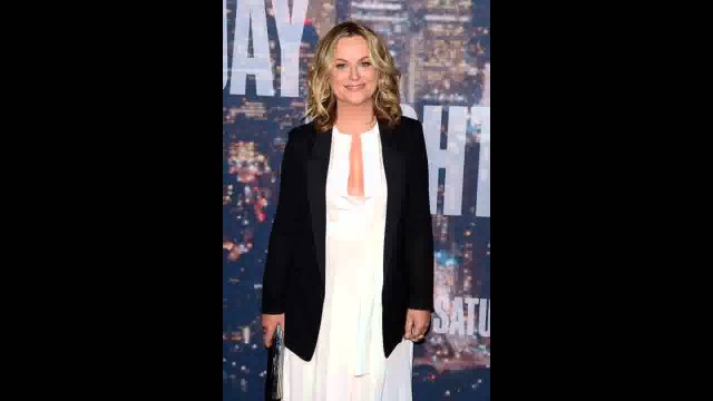 Amy Poehler to male Hollywood execs  ‘stop asking me where my children are’