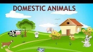 Learn Domestic Animals for kids in English | LKG | Kids education