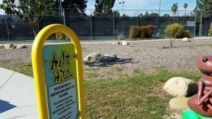 The Ant Hill at Thousand Oaks Community Park in April 2018
