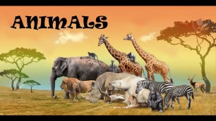 Animals for Kids to learn | Different types of Animals