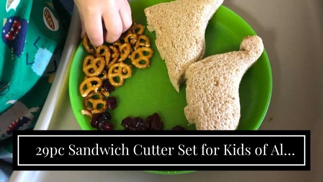 29pc Sandwich Cutter Set for Kids of All Ages - Turn Vegetables, Fruits, Cheese, and Cookie Int...