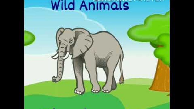 #learn #animals for #kids # animals videos #learn animals for kids